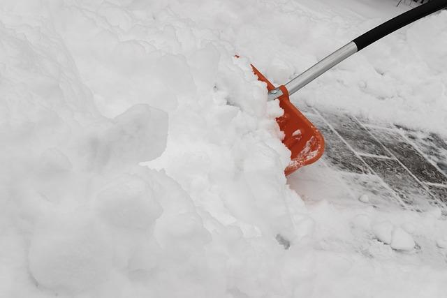 Odvoz balíku z domu: Co všechno potřebujete vědět