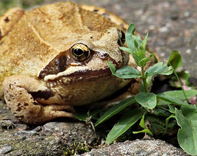 Zkušenosti obyvatel a jejich vliv na zlepšení služeb