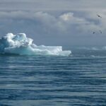 PPL Změna Doručení: Jak Upravit Vaši Zásilku