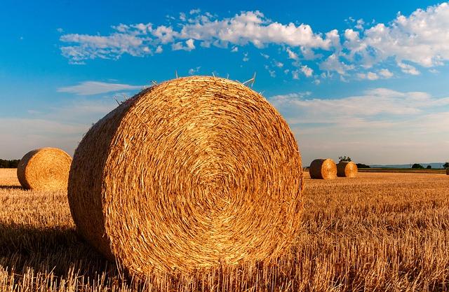 Tipy pro efektivní zasílání balíků a dopisů