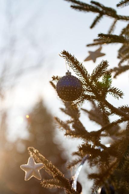 Zásilkovna Nový Bor: Spolehlivé a Rychlé Dodání
