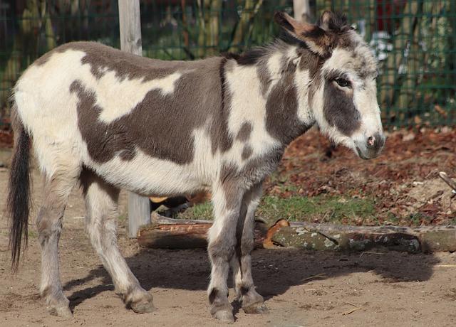 Zabezpečení a sledování zásilek: Jak mít kontrolu nad svým balíkem