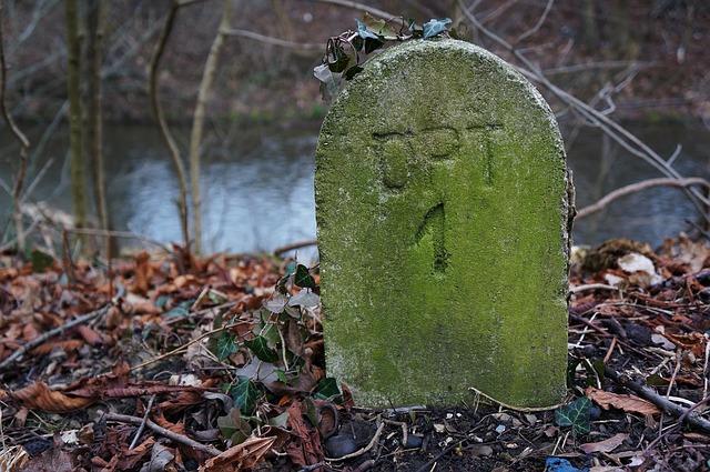 Jaké jsou náklady a pravidla pro vrácení balíku PPL