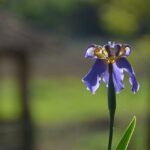 Kdy posílá DPD email o doručení: Informace pro zákazníky