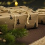 PPL Parcel Shop Chrudim: Rychlé a Snadné Vyzvednutí