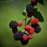 DPD jak zjistit pokutu: Jak Zjistit a Řešit Pokutu od DPD