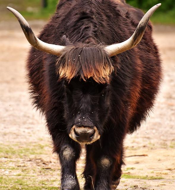 Možnosti doručení a odeslání zásilek v ‌Zubří