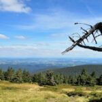 PSČ Jesenice u Rakovníka: Kompletní Průvodce Poštovními Službami