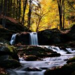 PSČ Jesenice: Nejlepší tipy pro správné zadání poštovního směrovacího čísla