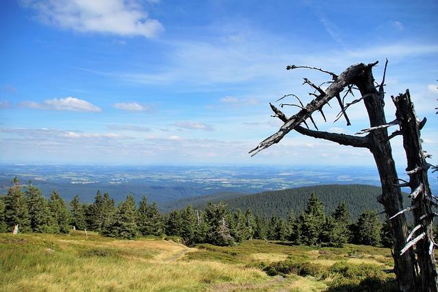 PSČ Jesenice: Úvod do světa poštovních směrovacích čísel