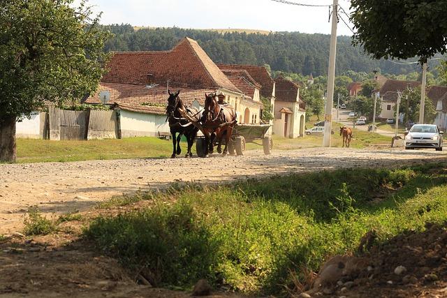 Modernizace technologií pro efektivnější služby