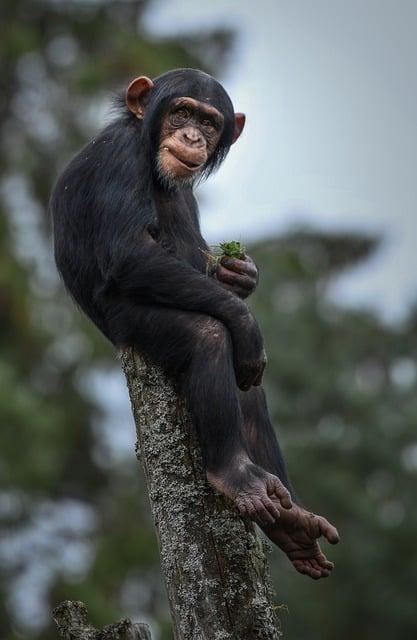 Tipy na sledování a potvrzení ⁣doručení