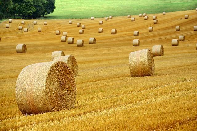 Jak efektivně využívat balíkové služby a podání zásilek