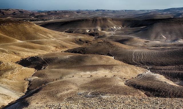 Vliv oblasti Remote Area na ceny a dodací lhůty